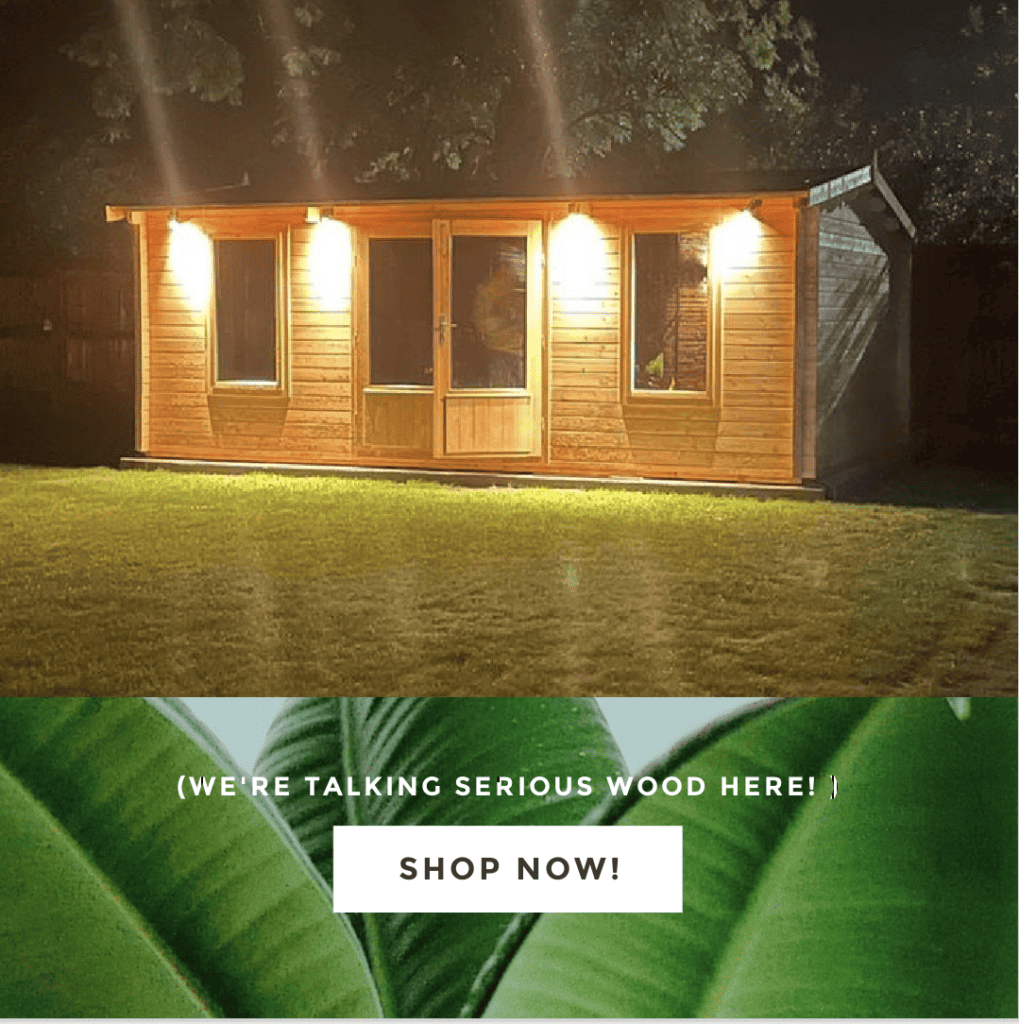 19ft x 12ft Large Log Cabin Tallin Studio