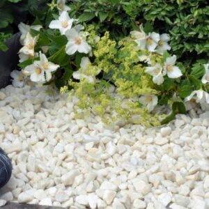 White 20mm Chippings