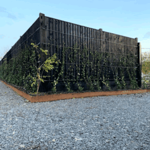 Core Edge HD Corten Edging 2.5mm