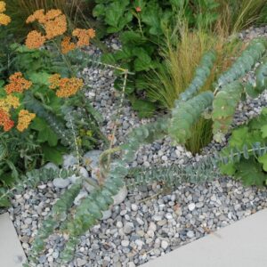 Dove Grey Pebbles 8-15mm