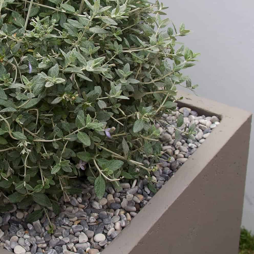 Dove Grey Pebbles 8-15mm